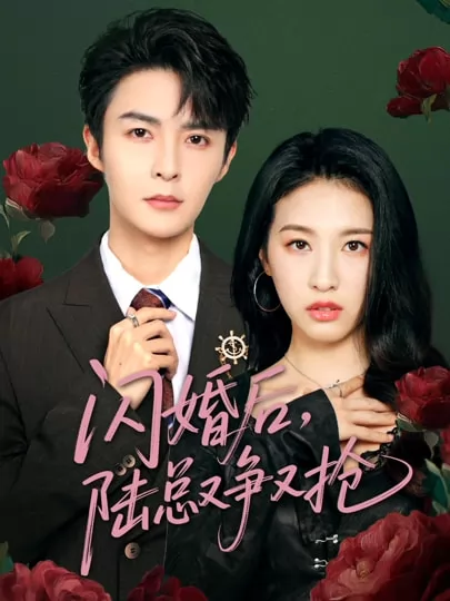 闪婚后陆总又争又抢